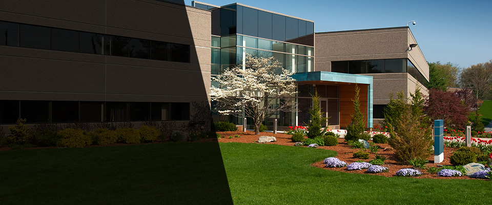 Sandia Park Landscapers