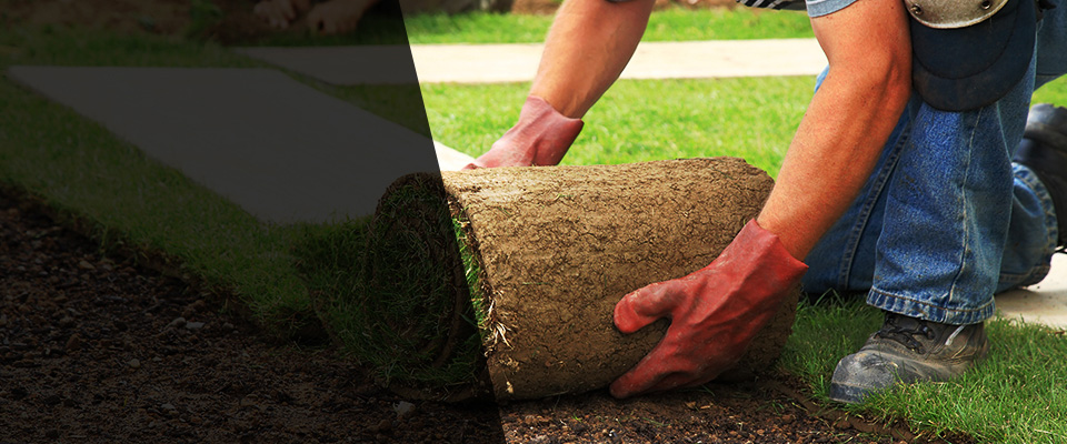 Sandia Park Landscapers